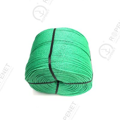 China Multifunctional high quality PP and PE polyethylene rope twisted rope monofilament rope for wholesale for sale