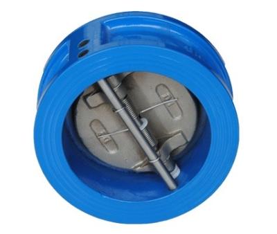 China PN10 / PN16 DN200 General Cast Iron Dual Wafer Type Hydraulic Plates Check Valve for sale