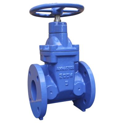 China Custom General Hot Product Accept ANSI 150 Gate Valve for sale