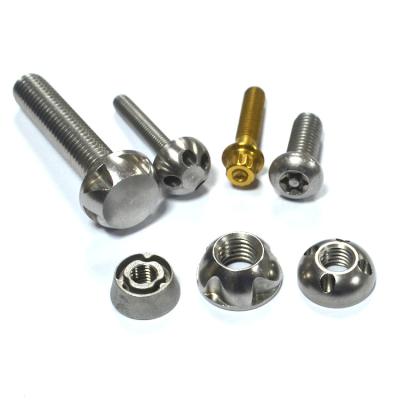 China Special Safe Anti-theft Stainless Steel Screw And Nut Stainless Steel Security Bolt For Outdoor Led for sale