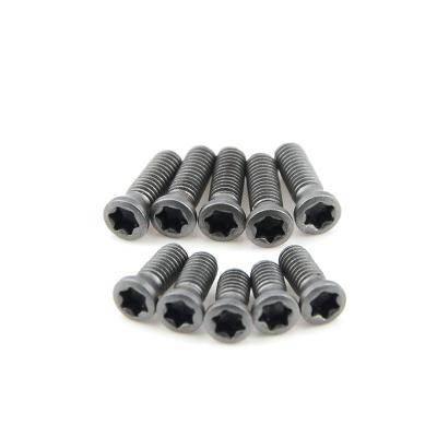 China Insert Torx Screw CNC Bar Replace Torx Screw M1.8/M2/M2.2/M2.5/M3/M3.5/M4/ CNC Tool Screw Carbide Inserts Lathe SCM435 12.9 Alloy Steel CNC Lathe M4.5 for sale