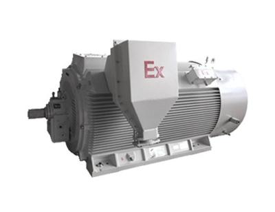 China Y2W Series Non Spark 3 Phase Induction Motor 185 - 1800Kw Power Range for sale