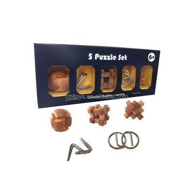 China Educational toy 2018 new 5 in 1 wooden and metal puzzle set riddle Q.I test toys. for sale