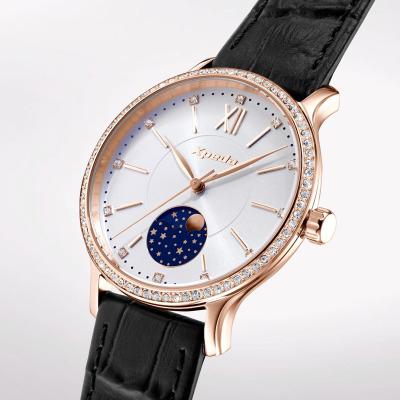 China TIMEBOX TC798B Analog Moon Phase Wrist Watch Women Quartz Wristwatch Elegance Watches Stainless Ladies Moon Phase Watches Steel for sale