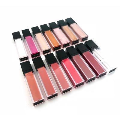 China Sunscreen Test Not On Clear Liquid Lip Gloss Private Label Animals Lip Gloss With 14 Colors for sale