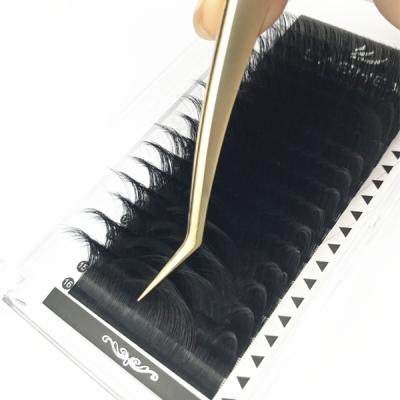 China Lashex Curl Light Classic C/D/L/Mink Lashes Russian Volume Matte Eyelash Extension Different Volume for sale