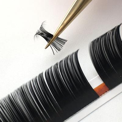 China Individual Dimentional Mega Volume Cashmere Private Label Lashes Soft Eyelash Extensions With Darkest Color for sale