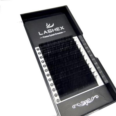 China 0.10 D Loops High Quality Dimentional Matte Black Ellips Volume Individual Lashes Silk Eyelash Extensions for sale