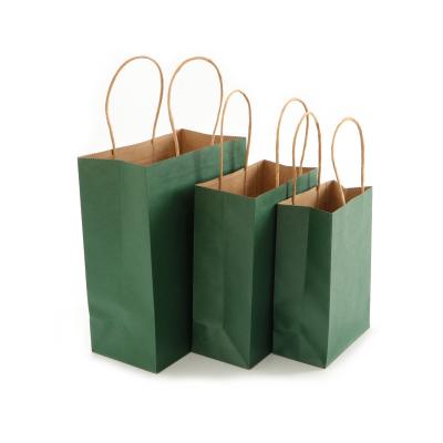 China Environmental Friendly Luxury Paper Bag For Gift Twisted Handle Jewelry Kraft Paper Washable Shopping Bag for sale