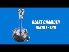 Service Brake Chamber T30