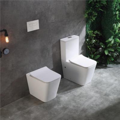 China Luxury White Smart Toilet Bowl Watermark Holder Double-Flow Floor Smart WC with Cupc for sale