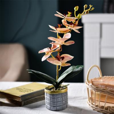 China Beautiful Fake Phalaenopsis Porch Green Plant Flower Ornaments Small Potted Home Decoration for sale