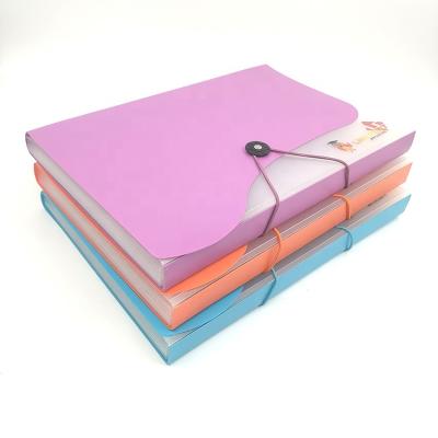 China Plastic Document Organizer Classification Label Side Large Capacity A4 Clear PP Expanding Presentation Folder for sale