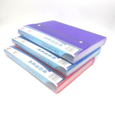 China Convenient Durable PP Waterproof Filling Folder With Folder Organizer Expandable Long Double Back Buckle for sale