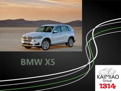 Cina Punti laterali elettrici d'estensione intelligenti di BMW X5 in pieno, piattaforme elettriche in vendita