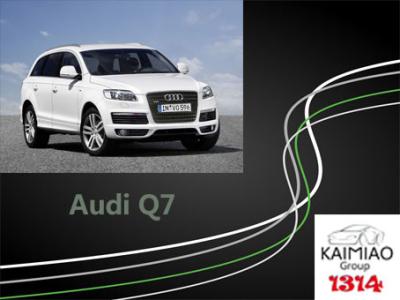 Chine Les conseils courants d'anti puissance de pincement d'Audi Q7, marche téléscopique barre amical pour des enfants et le vieux à vendre