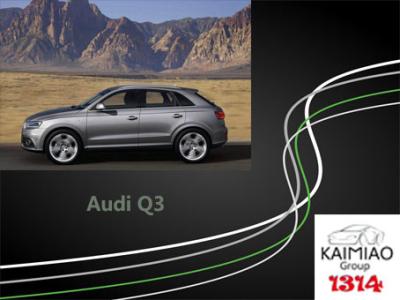 중국 Audi Q3 지적인 철회 가능한 회피 문이 닫힐 경우의 안전하게 숨기는 판매용