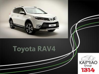 China Elektro-Mobil-Seitenschritt-einfache Installation Toyotas RAV4 2 Jahre Garantie- zu verkaufen