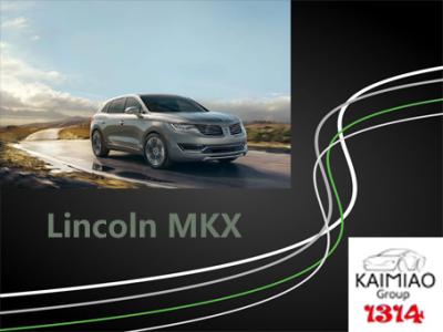 China Elektrische Seitenschritte Lincolns MKX, Elektro-Mobil tritt stilvolles praktisches und dauerhaft zu verkaufen