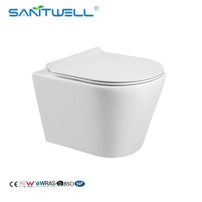 Cina La parete senza orlo ceramica degli articoli sanitari del CE ha appeso la toilette del WC in vendita