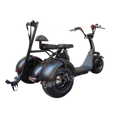 China SoverSky USA warehouse three wheels aluminum alloy tricycle adult eec bajaj 3 wheel motorcycle scooter 1500w citycoco 3 wheel adult for sale