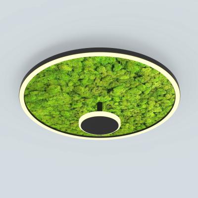 Κίνα Green Moss Sound-Absorbing Panel Acoustic Bedroom Lamp for Light Aluminum Material προς πώληση