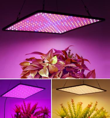 China 1000W LED Grow Light Panel Full Spectrum Phyto Lamp for Indoor Tent Plants Cultivation Input Voltage 85-240V for sale