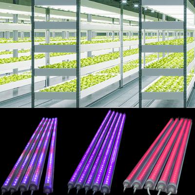 중국 Longood T8 18W/20W/22W/23W/36W 4000k 730nm Full Spectrum NIR LED Grow Light Tube and Long-Lasting for Terrariums in 2024 판매용