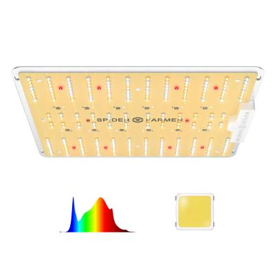 Κίνα 100W Full Spectrum Led Grow Light For Veg Plants Flowers Lm301B Driver Working 50000 Hours With AC220-240V Input Voltage προς πώληση