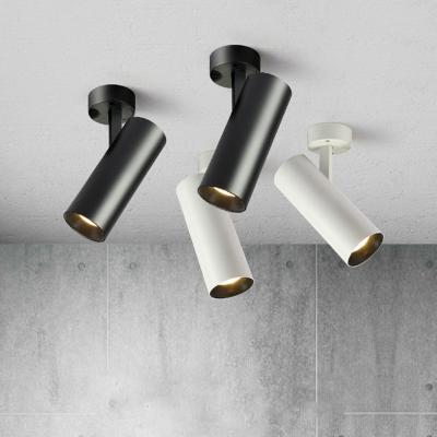 中国 High Brightness COB Chips Zoomable Led Track Light for Surface Mounted Install Style in Art Museum Display 販売のため