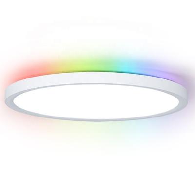 China Tuya Wifi Control de voz 300mm 24W luz de techo LED para diseño moderno cuerpo de PC sombra blanca dormitorio sala de estar aplicación de almacén PL en venta