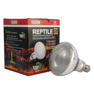 Κίνα Other Pet Products Par38 R95 R115 Self-Ballast 80W 100W 125W 160W Reflector UVB Lamp for Reptile προς πώληση