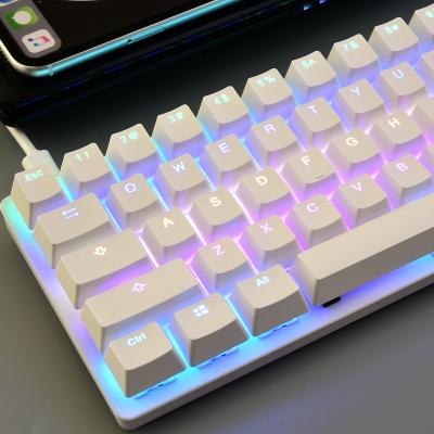 China New Wireless Magic Refiner 60% Backlit Mechanical Gaming Keyboard Suspended Customizable PBT Keytop Cherry Kaihl Stunning RGB for sale