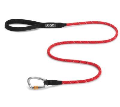 China Comfortable Padded Nylon Padded Handle Rope Dog Leash Swivel Carabiner for sale