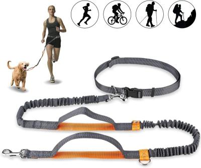 China Padded Wholesale China Smart Hands Free Retractable Nylon Jogging Dog Leash for sale