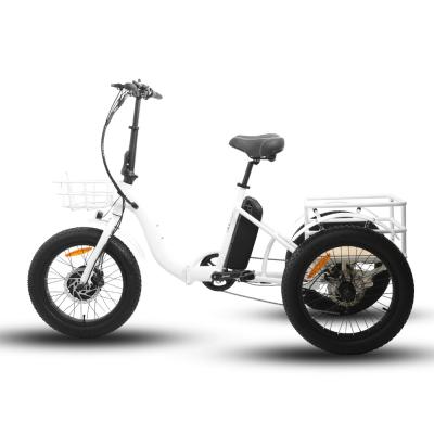 China BTN standard NEW-TRIKE 48V500W 20