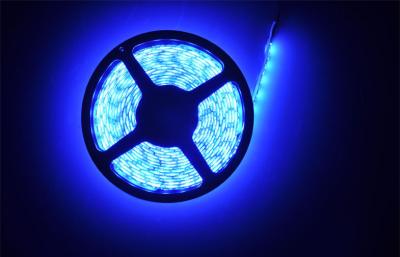 China Luz de tira flexible de SMD 3528 12V LED, prueba del No-Agua/impermeable 60 LED en venta