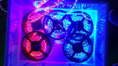 China High Brightness Flexible LED Strip 120 Degree For Landscape Lighting for sale