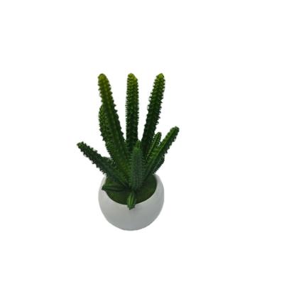 China New Product Excellent Quality Home Decor Minimalist Artificial Cactus Bonsai Ceramic Flower Pot Set for sale