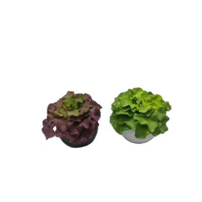 China Fashion Most Popular Desktop Decoration Mini Plastic Artificial Plant With Ceramic Flower Pot Set for sale