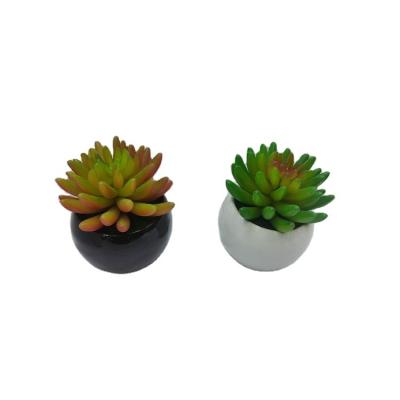 China Popular Hot Selling Ceramic Flower Pot Set Mini Fashion Home Office Decor Plastic Artificial Plane for sale