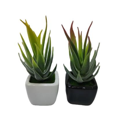 China Fashion New Products Fashion Artificial Aloe Hard Plant Ceramic Frost Flower Pot Set for sale