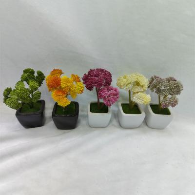 China Fashion Latest Arrival Cheap Artificial Cauliflower Plants Ceramic Flower Pot Set 3 Heads for sale