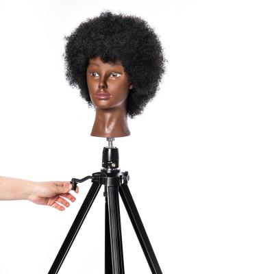 China Jerry Curl Wholesale Modern Factory Price Display Mannequin Heads For Sale for sale