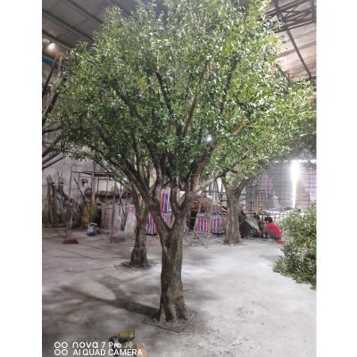 China Large Eco-friendly Artificial Olive Tree For Hotel Decoration for sale