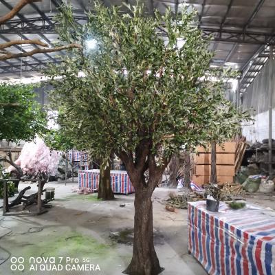 China Large Indoor Artificial Trees Eco - Friendly Artificial Tree Fiberglass Faux Olive Tree For Decoration for sale