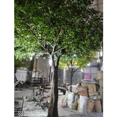 China Custom High Size Eco-friendly Quality Artificial Olive Tree Simulation for sale