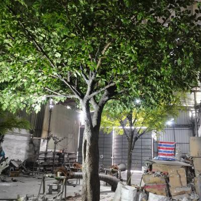 China Eco - Friendly Large Outdoor Artificial Banyan Trees Large For Hotel Cafe Decoration for sale