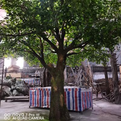 China Eco - Friendly Artificial Big Green Ficus Tree Tall Banyan Tree For Decor for sale