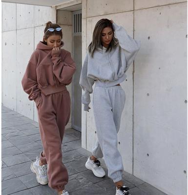 China Women's Hoodie Set Oversized Loose Women's Breathable Sweatshirt Two-Piece Set Women's Wool Hoodie Set Winter Fleece Sportswear for sale